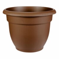 20-56312CH Ariana Chocolate Colored Planter