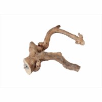 26 X 2.4 In. Large Multi-Branch