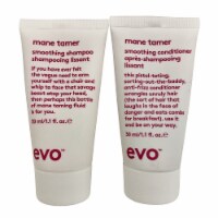 evo Mane Tamer Smoothing Shampoo & Conditioner Set 1.1 OZ Each
