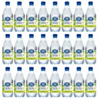Crystal Geyser™ Sparkling Spring Water - Green Apple