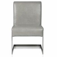Modus Coral Synthetic Leather Upholstered Dining Side Chair (Set of 2)