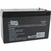 Interstate All Battery Power Patrol 12V 8A Security System Battery SLA1075