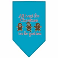 Mirage Pet Products 66-470 LGTQ All I Want is a Few Good Men Screen Print Bandana, Turquoise