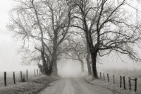 Crystal Art Gallery Sparks Lane Wall Decor