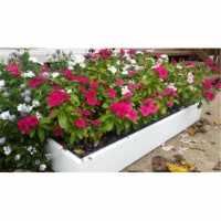 2 x 4  Handy Raised  Bed for a Great Garden