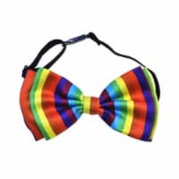 Bow Tie Rainbow Costume