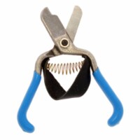 Fruit Shears with Strap Lemon Citrus Clippers Forged