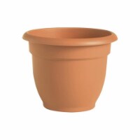 20-56108 8 in. Clay Ariana Planter