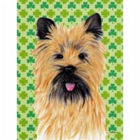 40 x 40 in. Cairn Terrier St. Patricks Day Shamrock Portrait House Size Canvas Flag