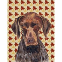 15 x 15 In. German Shorthaired Pointer Fall Leaves Portrait Flag, Garden Size