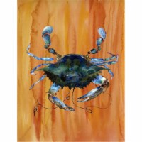 11 x 15 In. Crab Flag, Garden Size