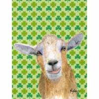St Patricks Day Goat Flag Canvas House Size
