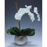 Distinctive Designs 9995 Cream White Phalaenopsis Orchid in Silver Hammered Metal Vase - Neut