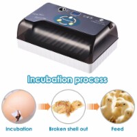 12 Eggs Fully Automatic Incubator Digital Poultry Hatcher Egg Turning Temp Control Lamp
