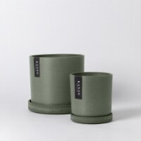 Olive Sage