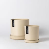 Tatami Sand