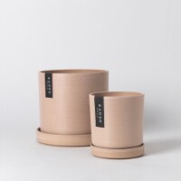 Muted Coral