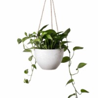 8 or 12 Hanging Planter Pot with Drainage Hole, Large White Hanging Wall Planter Indoor