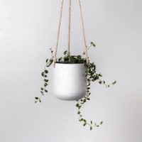 4 Hanging Planter Pot with Drainage Hole & Plug, Small Hanging Wall Planter Indoor