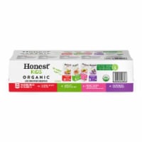 Honest Kids Organic Variety Pack Juice Cartons Perspective: Main