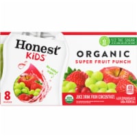 Honest Kids® Super Fruit Punch Pouches Perspective: Main
