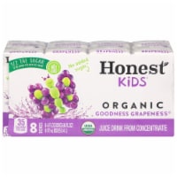 Honest Kids® Organic Goodness Grapeness® Juice Cartons Perspective: Main