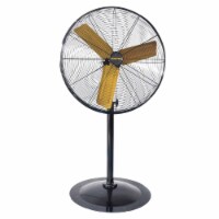 MASTER 30 High Velocity Pedestal Fan