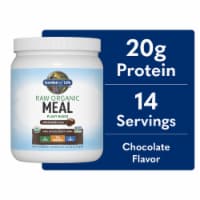 Garden of Life Raw Organic Meal Replacement All-in-One Shake 20g Vegan Protein Chocolate Powder Perspective: Main