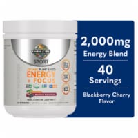 Garden of Life® Sport Organic Blackberry Cherry Energy & Focus Whole Food Dietary Supplement Perspective: Main