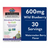 Garden of Life® Dr. Formulated Brain Health Attention & Focus for Kids Chewables Perspective: Main