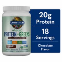 Garden of Life Organic Protein & Greens 20g Vegan Protein + 6 Veggies Chocolate Powder Perspective: Main