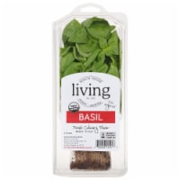 North Shore Living™ Basil Perspective: Main