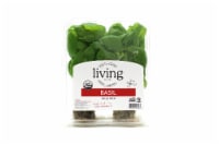North Shore Living Organic Basil Perspective: Main