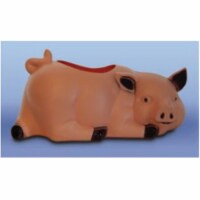 Union Living Pig Planter