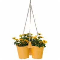 Enameled Galvanized Hanging 3 Planter Unit for 5.5 in. Plants, Saffron