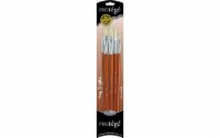 Protege Brush Set Hog Bristle Long Handle 5pc