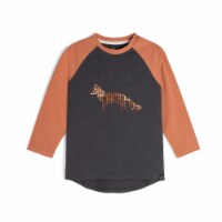 Long Sleeve Raglan Top With Fox Print