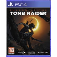 Shadow of the Tomb Raider Standard Edition (PS4) Perspective: Main