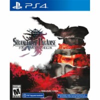 Square Enix 662248925875 Stranger Paradise Final Fantasy Origin Play Station 4 Video Game