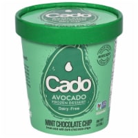 Cado Dairy Free Mint Chocolate Chip Frozen Dessert Pint Perspective: Main