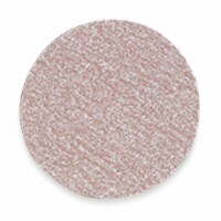 Norton Abrasives Hook-and-Loop Sand Disc,5 in Dia,PK100 66261131546