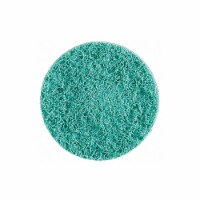 Norton Abrasives Hook-and-Loop Surface Cond Disc,7 in Dia 66261192846