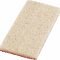 Walter Surface Technologies Cleaning Pads, Standard, PK10 54B040