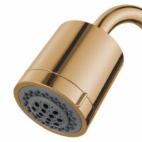 Kingston Brass KX8612 Vilbosch 2 Function Shower Head, Polished Brass