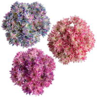 Valentine's Day Splish Splash Poms Flowers Bouquet Perspective: Main