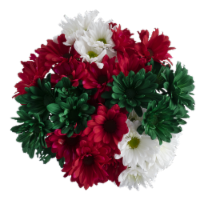 Razzle Dazzle Christmas Poms