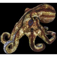 Texas Toy Distribution S-1145 10 in. Octopus Plush Stuffed Animal Toy