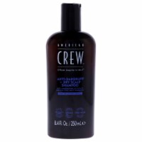 American Crew Anti-Dandruff Sebum Control Shampoo 8.4 oz