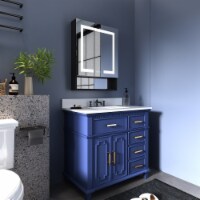 Ample 24 W x 32 H Lighted Black Medicine Cabinet Bathroom Medicine Cabinet with Double