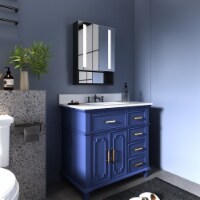 ExBrite 20  W x 28  H Bathroom Vanity Medicine Cabinet with Lights Recessed or Surface